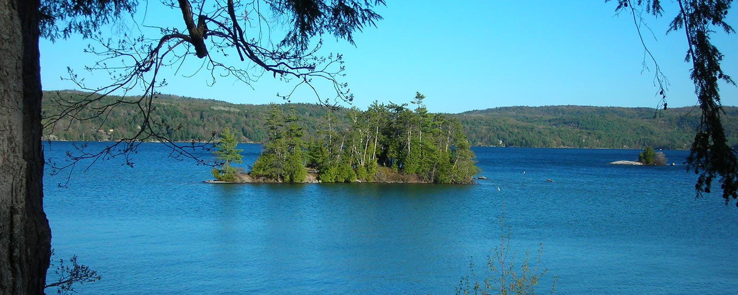 White Pine Mountain